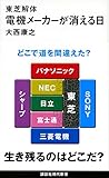 東芝解体 電機メーカーが消える日 (講談社現代新書)