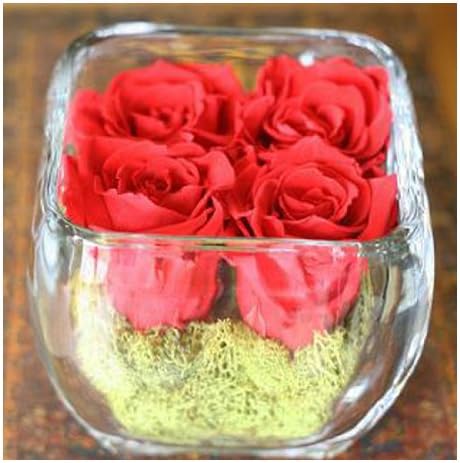Forever Green Art Preserved Red Roses in Glass Cube, 4-Inch