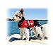 Paws Aboard Red Neoprene Life Jacket, Dog or Cat Life Preserver (XXSmall 2-6 Lbs)