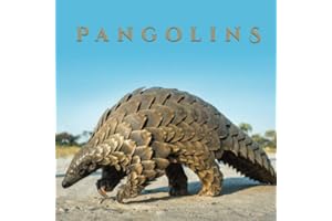 Pangolins