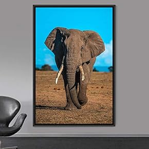signwin Framed Canvas Wall Art Elephants Animals Dramatic...