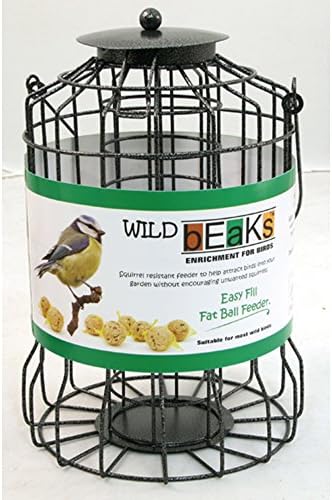 James &amp; Steel Wild Beaks Metal Squirrel Resistant Fat Ball Cage Bird Feeder (One Size) (Gray)