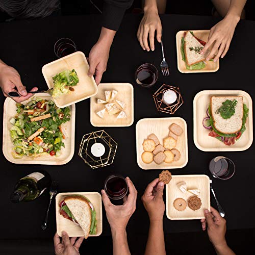 Pure Palm Friendly Palm Leaf Plates; BambooStyle, Upscale