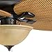 Honeywell Ceiling Fans Palm Valley, 52 Inch Tropical Indoor Outdoor Ceiling Fan with Light, Pull Chain, Three Mounting Options, 5 Palm Leaf Blades, Reversible Motor - 50507-01 (Bronze)