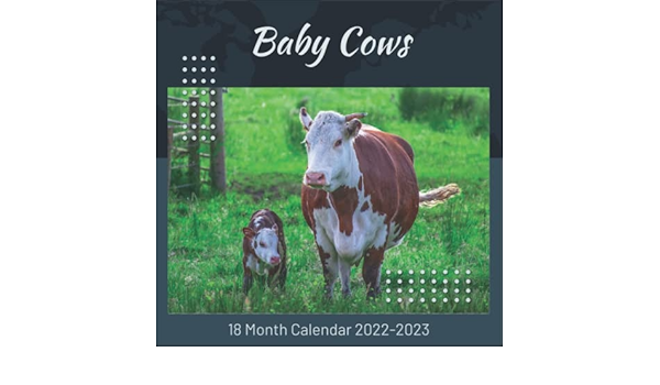 2023 Cow Calendar September Baby Cows Calendar 2022-2023: Official Planner Baby Cows Calendar 2022 -  2023 Monthly Weekly And Daily Baby Cows Calendar 2022 With Notes, 18 Month  Square Baby Cows Calendar 2023: Rowling, James: 9798761530089: Amazon.com:  Books