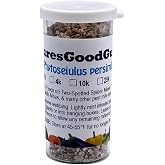 NaturesGoodGuys - Live Adult Phytoseiulus persimilis - Best for Two Spotted Spider Mites (2,000 Live Adult P. Persimilis)