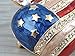 Alilang Silver Tone Crystal Rhinestone 4th of July American USA Flag Patriotic Pin Brooch, Big Apple