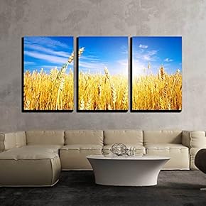 3 Piece Canvas Wall Art - Golden Wheat Field with Blue Sky in Background - Modern Home Art Stretched and Framed Ready to Hang - 16"x24"x3 Panels