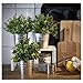 Ikea Socker, Galvanized Steel Flower Plant Pot Set of 6