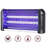 Victor Indoor Fly Trap, 1 pack, 2 Traps