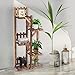 Giantex Wood Plant Stand Rack 5 Tier 6 Potted, Multiple Plant Stand Flower Pots Holder Display Shelf Rack Planter Indoor Outdoor for Garden Corner Balcony Patio Living Room