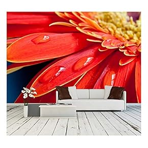 Red Gebera Flower Close Up with Water Drops on The Petal - Removable Wall Mural | Self-Adhesive Large Wallpaper - 66x96 inches
