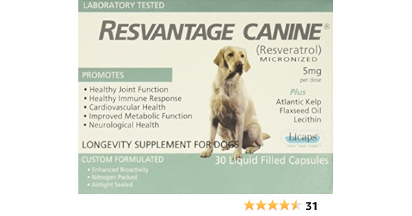 revolution for dogs amazon