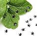 O-Best 100Pcs Mini Flies Verisimilar Magic Trick Joke Toy HALLOWEEN PROP Prank Plastic Flies Kidding Novelty Halloween