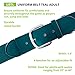 Champion Sports Baseball/Softball Uniform Belt