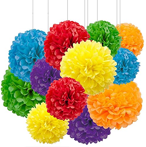 GAKA FAVOR Rainbow Tissue Paper Pom Poms - Hanging Flower Balls for Wedding & Birthday Parties (6pcs 12in (30CM) & 6pcs 10in (25CM))