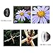 Pictek Fisheye Lens, Clip On 3-in-1 Fisheye 12X Macro 24X Super Macro Phone Camera Lens Kit for iPhone 6/6s,iPhone7 iOS and Android Smartphones