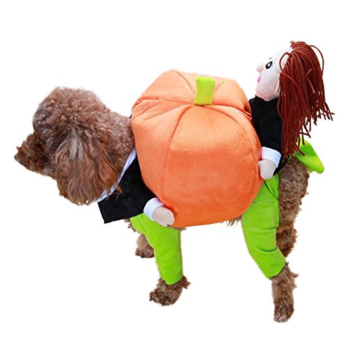 NACOCO Dog Costume Carrying Pumpkin with Doll Pet Cat Costumes Funny Halloween Party Holiday Clothes