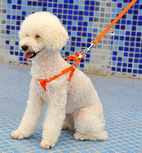No Pull Dog Leash Harness,HYSJY Pet Leash Rope,Pet Leash Strap,Nylon Leash Collar with Adjustable-Best for Walking, Hiking & Training Canine fit Medium/Small Pet(Medium, Orange)