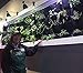 12 Pocket Indoor Waterproof Vertical Living Wall Planterthumb 1