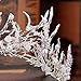 Costume Photography Wedding Accessories Rhinestone Headband Queen Bridal Crown,Ice Cone Shape (White)