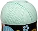 Lion Brand Yarn 550-156A Pound of Love Yarn, Pastel Green