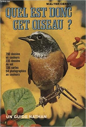 Quel Est Donc Cet Oiseau Cerny W Drchal K Amazoncom Books