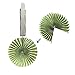 Recosis Hanging Paper Fan Set, Tissue Paper Pom Poms Flower Fan and Honeycomb Balls for Birthday Baby Shower Wedding Festival Decorations - Green