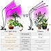 Grow Light for Indoor Plants 50W 96 LED Full Spectrum Plant Lights, Auto On/Off 3/6/12H Timer 5 Dimmable Levels 3 Switch Modes Dual Head Desk Growing Lamp for Gardening Seedling Succulent Hydroponic