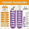 IAMS-for-Vitality-Dry-Kitten-Food-with-Fresh-Chicken-3-kg IAMS for Vitality Dry Kitten Food with Fresh Chicken, 3 kg, Packaging may vary