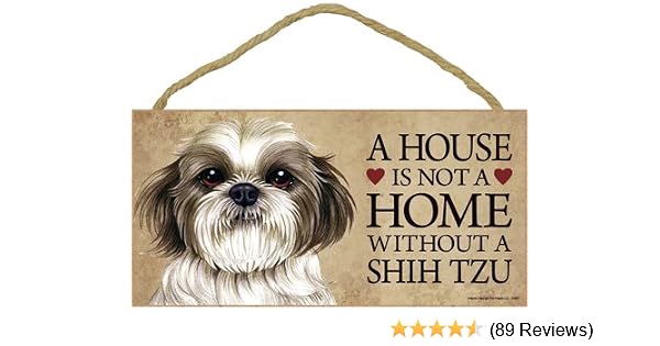 Shih Tzu Haircut Videos - Top Hairstyle Trends The Experts ...