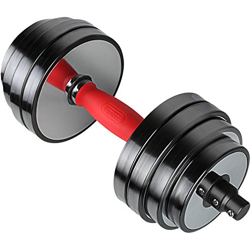 Featol Adjustable Dumbbells Total 77.2 Lbs (38.6lbs X 2pc) Weight Set Dumbbell Weights Muscle Builder Gym Equipment Fitness Equipment for Bodybuilding