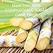 Stalkmarket 100% Compostable Sugar Cane Fiber Heavy Duty Plate, 5-Compartment American Tray, 500-Count Case