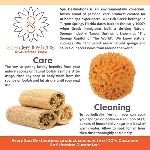Facial Sea Wool Sponge 2-3" (3) Pack by Spa Destinations