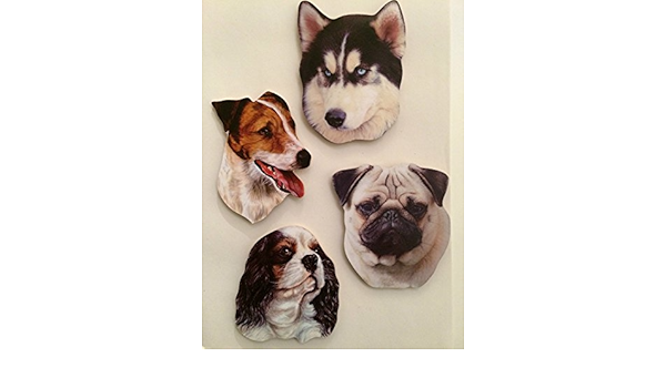 CONJUNTO DE CUATRO PERROS IMANES DE NEVERA. HUSKY-JACK ...