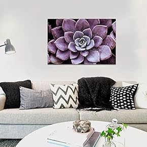 Dark Purple Succulent Close - Canvas Art
