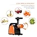 Masticating Juicer, Cold Press Juicer, Slow Juicer Machine with Juice Jug, Pulp Jug and Cleaning Brush, Juicer Juice Extractor for High Nutrient Fruit and Vegetable