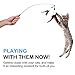 Pawaboo Feather Teaser Cat Toy - Interactive Wand with Extra Long 34.5
