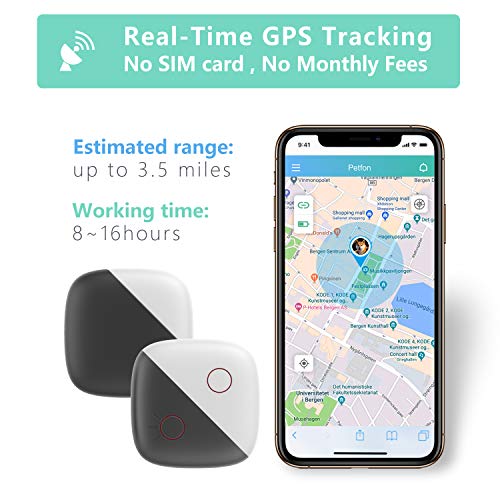 pets gps tracker & activity monitor