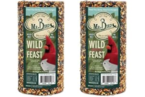 Mr. Bird Wild Bird Feast Cylinder 28 oz | Wild Bird Food for Outdoor Birds | Backyard Birdfeeding