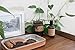 PF Candle CO Teakwood and Tobacco Fine Fragrance, 1.7 FZ