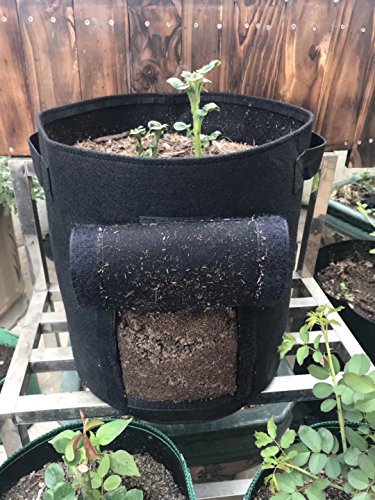 SingPad Potato grow bags,2-Pack 7 Gallon Garden Vegetables Planter Bags For Growing Potatoes,Taro,Radish,Carrots,Onions (Black)