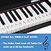 QMG Piano Keyboard Note Stickers for White Keys for Upto 88-Key Keyboards, Bright Colorful Letters, Transparent and Removable, Perfect Visual Tool for Kids and Beginners, 2 Pack