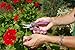 Dramm ColorPoint Stainless Steel Compact Garden Pruning Shears, Hand Pruner, Garden Clippers, with Heavy Duty Blade and Easy grip Handle, Berry