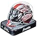 Franklin Sports Detroit Red Wings NHL Team Logo Mini Hockey Goalie Mask with Case - Collectible Goalie Mask with Official NHL Logos and Colors