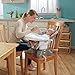 Fisher-Price SpaceSaver High Chair, Luminosity