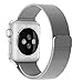 Lumina lumi-98907-l Apple Watch Band - Silver