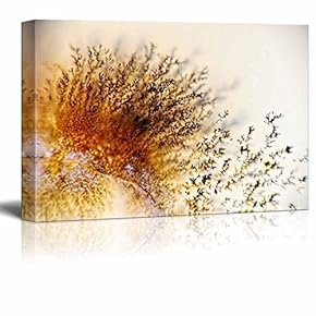 Canvas Wall Art - Abstract Agate Slice Pattern - Giclee Print Gallery Wrap Modern Home Art Ready to Hang - 12" x 18"