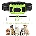 Valoinus Dog Bark Collar Adjustable Sensitivity and Intensity Levels-Dual Anti-Barking Modes-Rechargeable/Rainproof -No Barking Control Dog Shock Collar for Small Medium Large Dog (Green)thumb 3