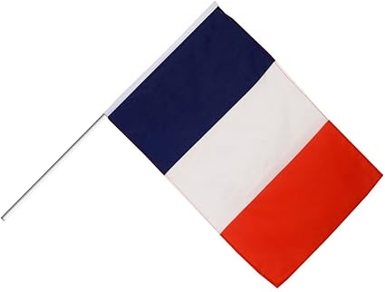 Digni Grand Drapeau France Sur Hampe 60 X 90 Cm Sticker Gratuit Amazon Fr Sports Et Loisirs